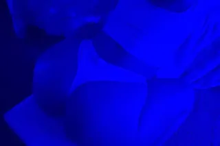 freakaleak. - Image 6